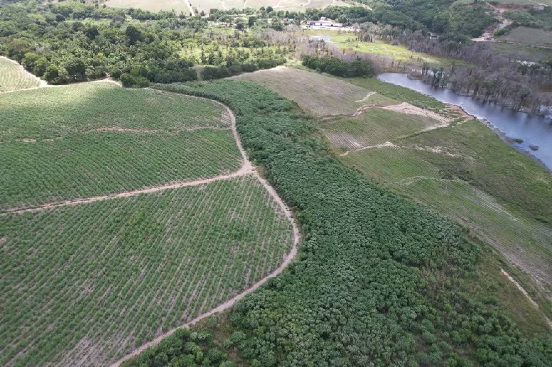 aaaa